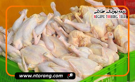 ۱۸۹ تن گوشت مرغ از مازندران برای تنظیم بازار به تهران ارسال شد
